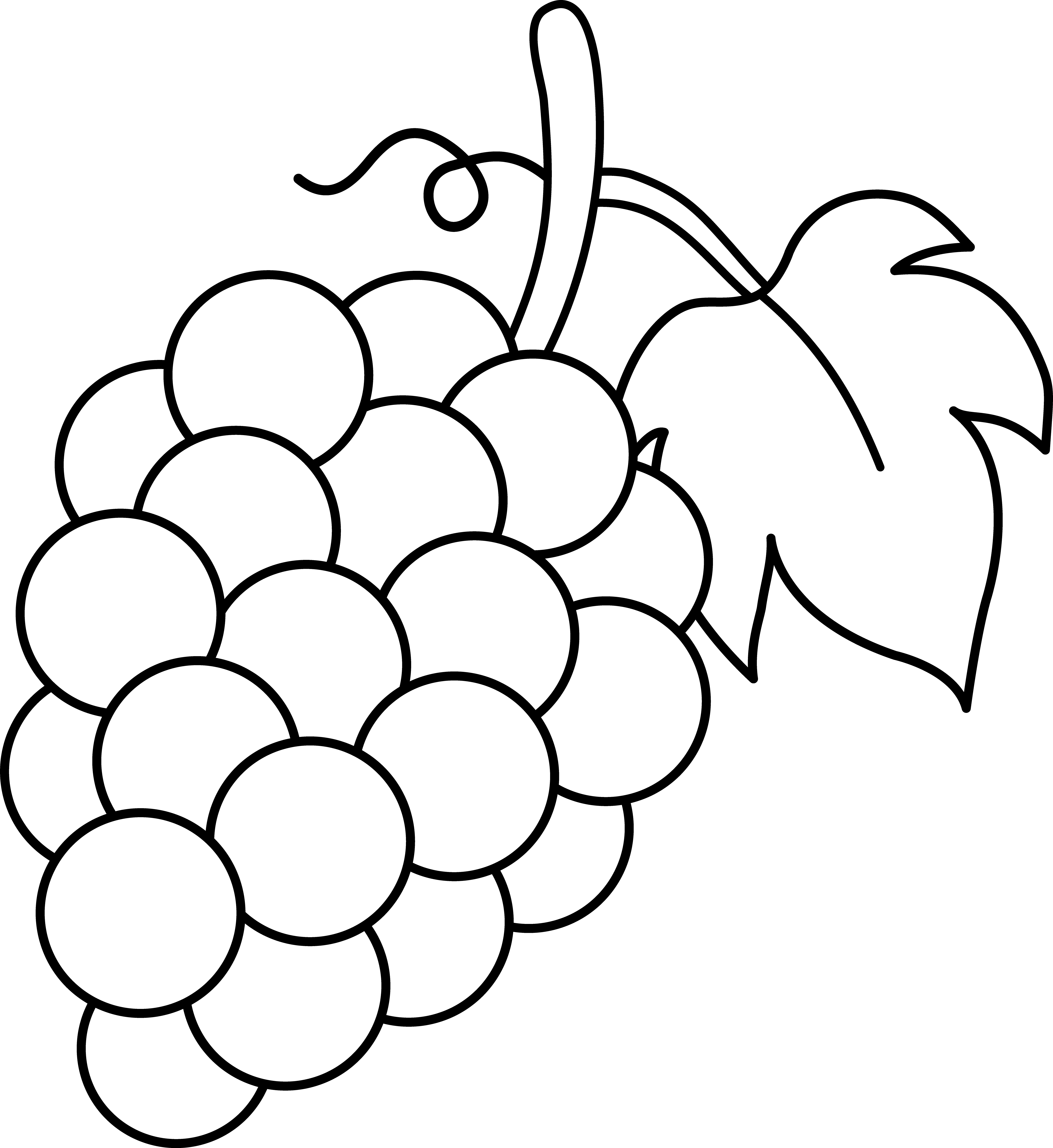 Grapes Black And White Lineart Free Clip Art | HomeImprovementBasics.