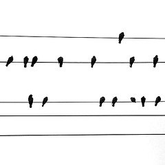How to Learn Music Notes in 5 Minutes or Less a Day