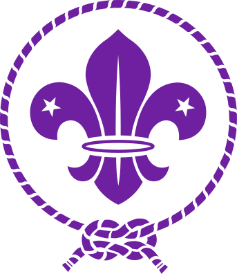 Fleur-de-lis in Scouting