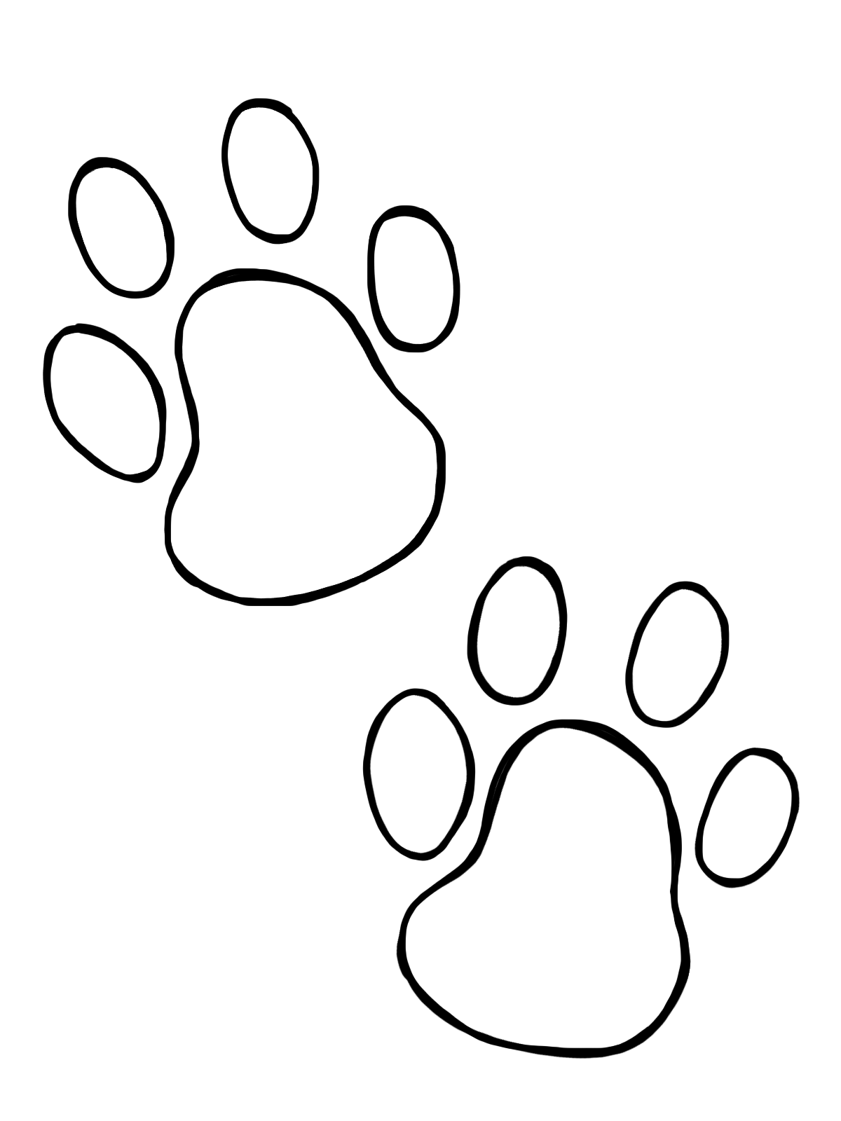 Paw Print