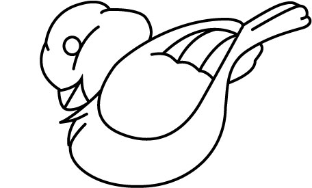 Bird outlines