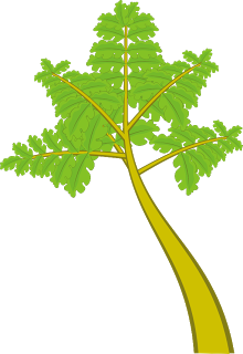 ornament art: clipart