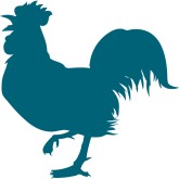 Chicken Clipart &amp; Chicken Images - MustHaveMenus
