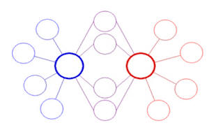 Double bubble map template for word