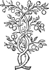 11954460502018245759fruit_tree ...
