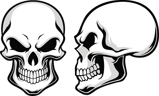 Human Skull Clip Art, Vector Images & Illustrations