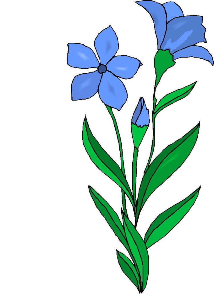 Plants Clip Art - Tumundografico