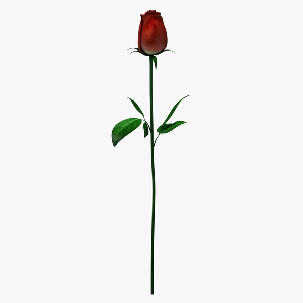 Long Stem Rose Clipart
