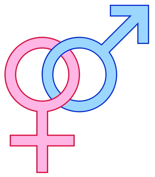 gender-symbols-male-female-signs11 | Heroes: What They Do &amp; Why We ...