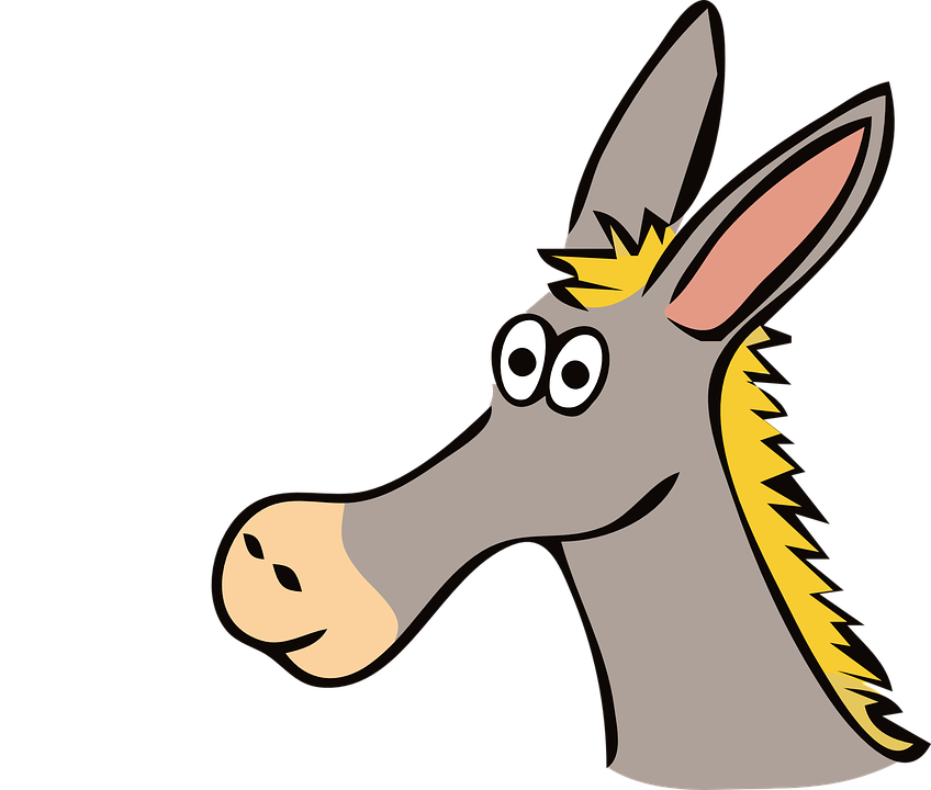 admin – IDONKEY