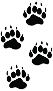 Amazon.com: Turkey Track Decals - Set of 12: Automotive