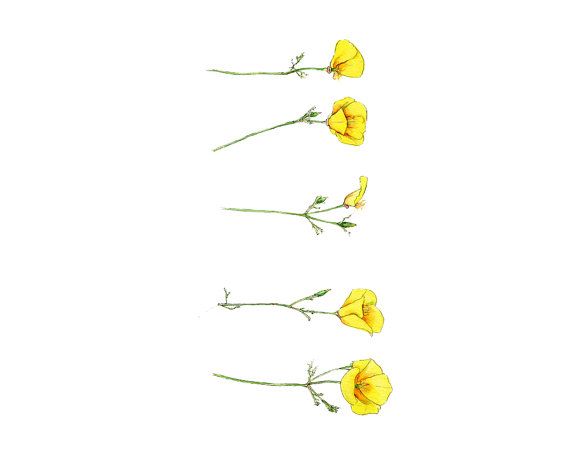 California Poppy Tattoo | Poppies ...