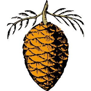 Clip Art Pine Cone - Free Clipart Images