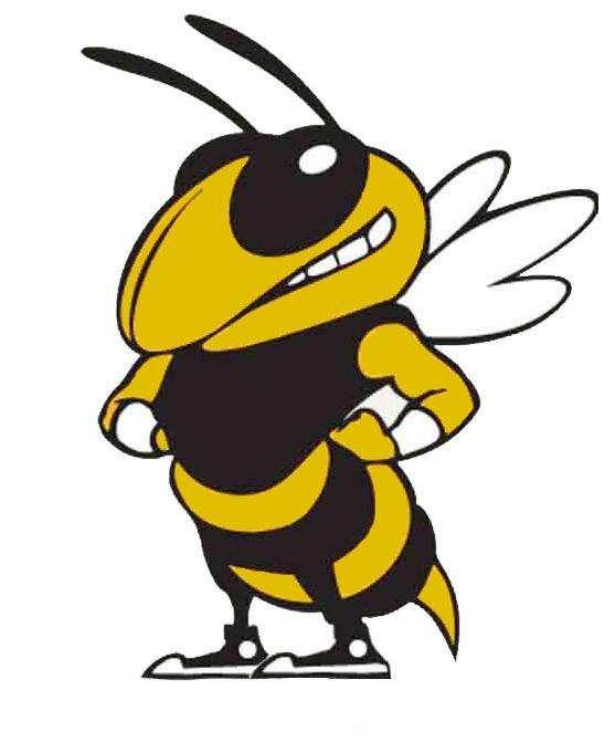 Yellow jacket mascot clipart