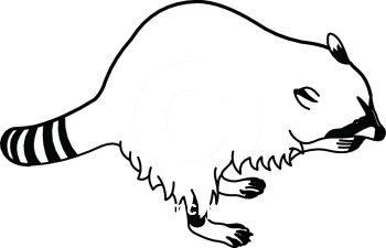 Raccoon Clip Art Black And White - Free Clipart Images