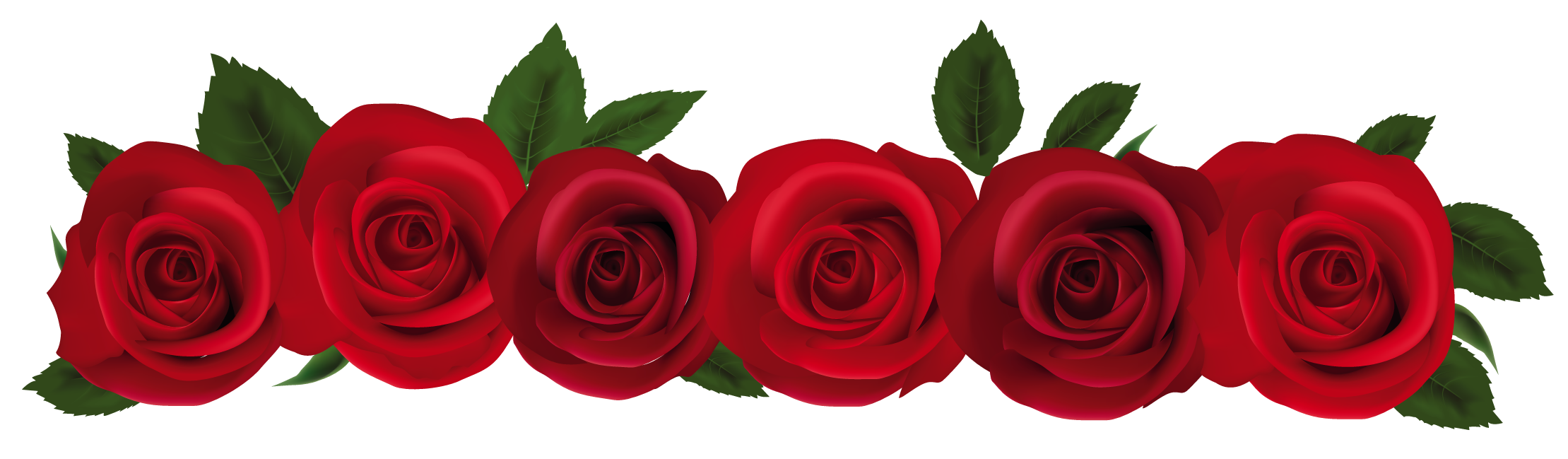 Red rose border clip art