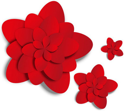 Red carnation flower images free download free vector download ...