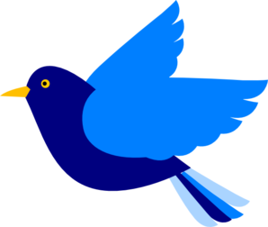 Clipart bird png