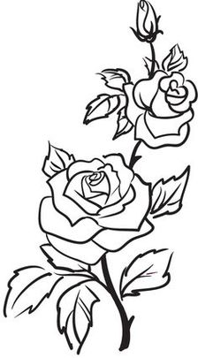 Tattoos On Pinterest Rose Outline And Tattoo Placemen  Clipart ...