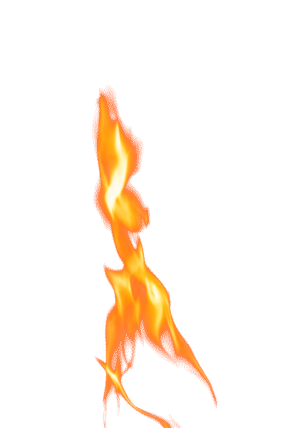 56c2a41a5ccacf496502455a