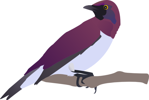 Exotical Bird clip art Free Vector