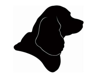 silhouette portrait