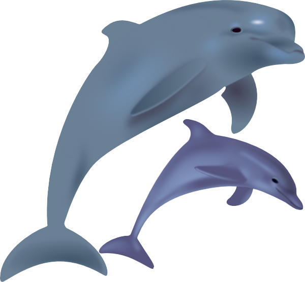 Pictures Of Cartoon Dolphins - ClipArt Best