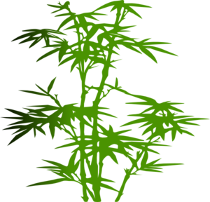 Bamboo clip art - vector clip art online, royalty free &amp; public domain