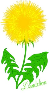 Dandelion Clipart | Free Download Clip Art | Free Clip Art | on ...