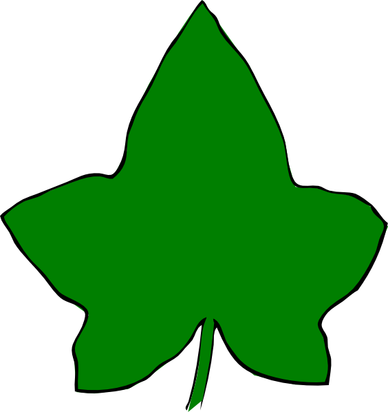 Ivy Leaf Template Ivy Outline Clip Art Vector Online Royalty Free ...