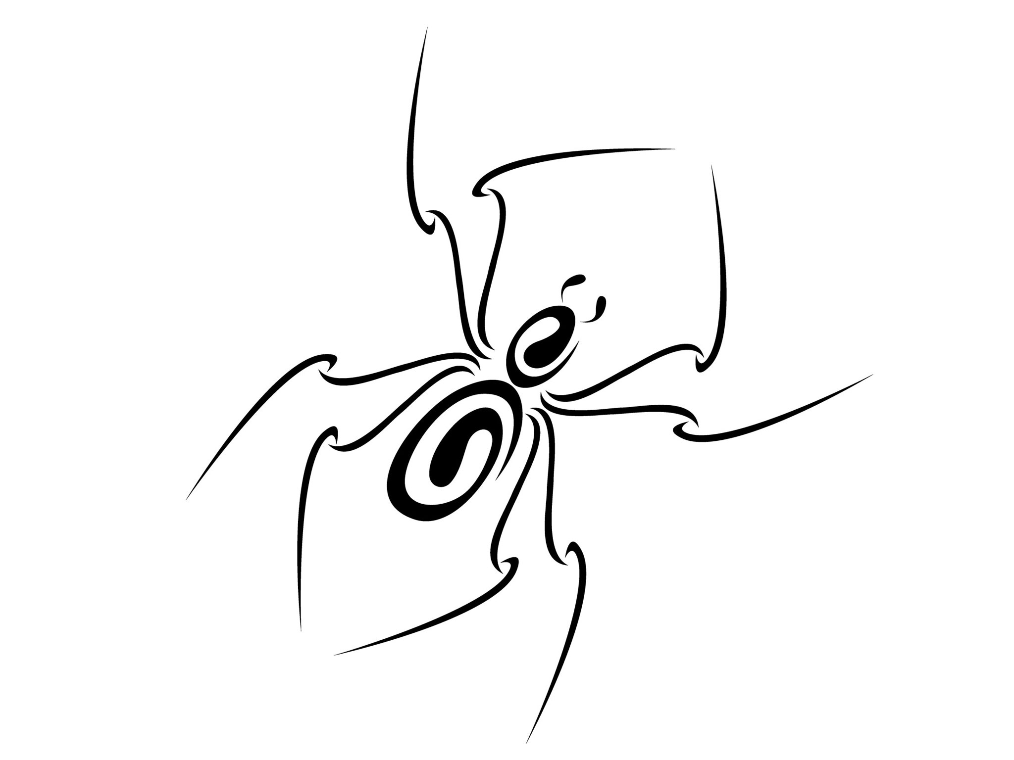 1000+ images about Tribal Spiders