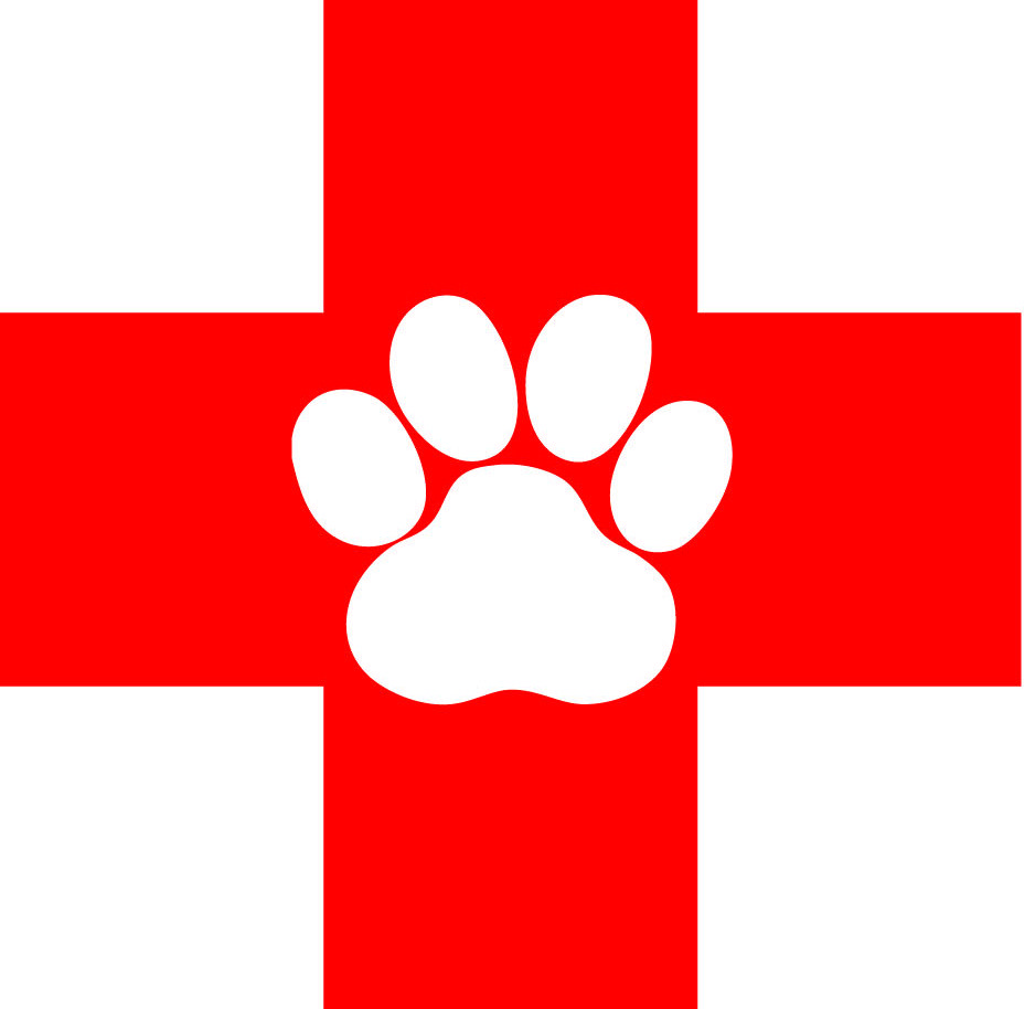 Emergency Logo Clipart