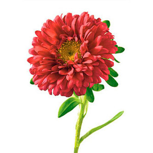 Flowers 4 ~ 100 - Polyvore