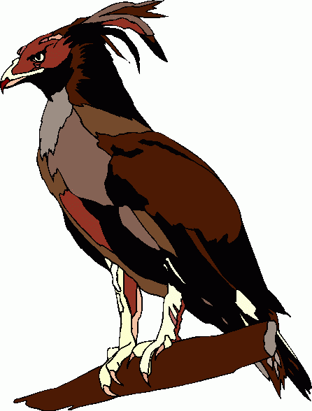 Free Eagle Clip Art Pictures - Clipartix