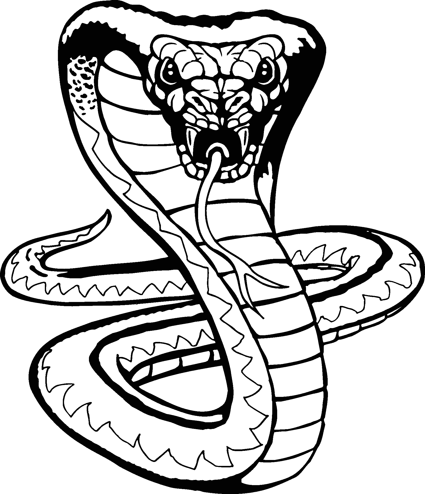 How To Draw A Viper Snake - ClipArt Best