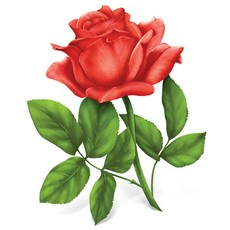 Rose Drawings Clip Art | Design images