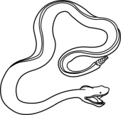 Rattlesnakes Clipart | Free Download Clip Art | Free Clip Art | on ...