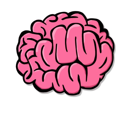 1000+ images about Amygdala | Nucleus accumbens ...