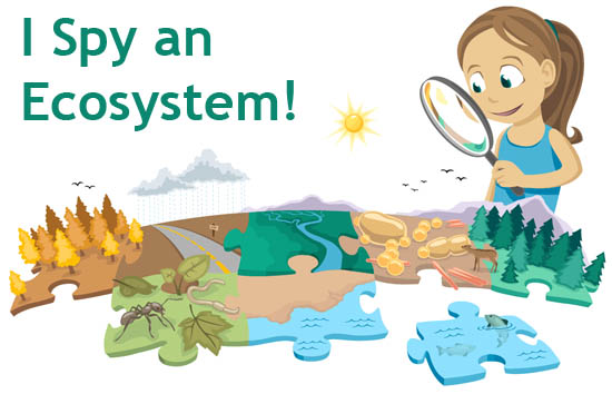 Pond Ecosystem Clipart