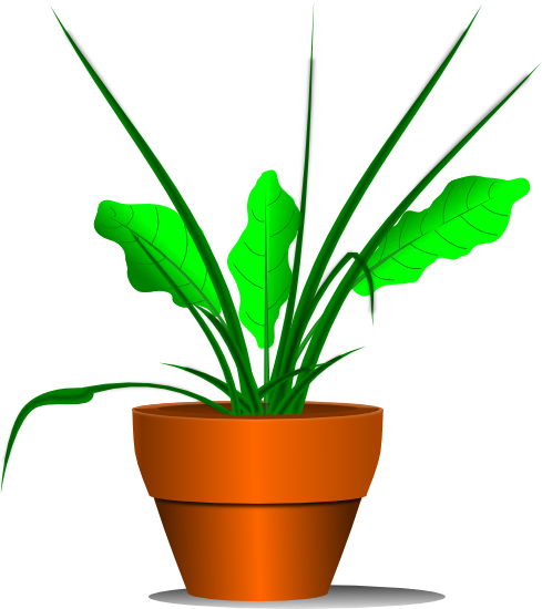 Plant clip art images