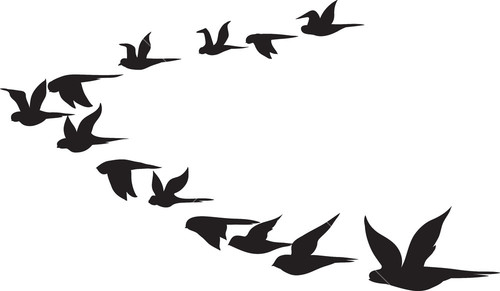 Birds Royalty-Free Vectors, Illustrations and Photos