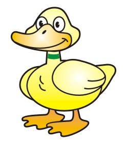 Drawing Cartoon Ducks Step by Step
