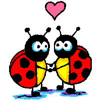 ladybug_ani_11.gif
