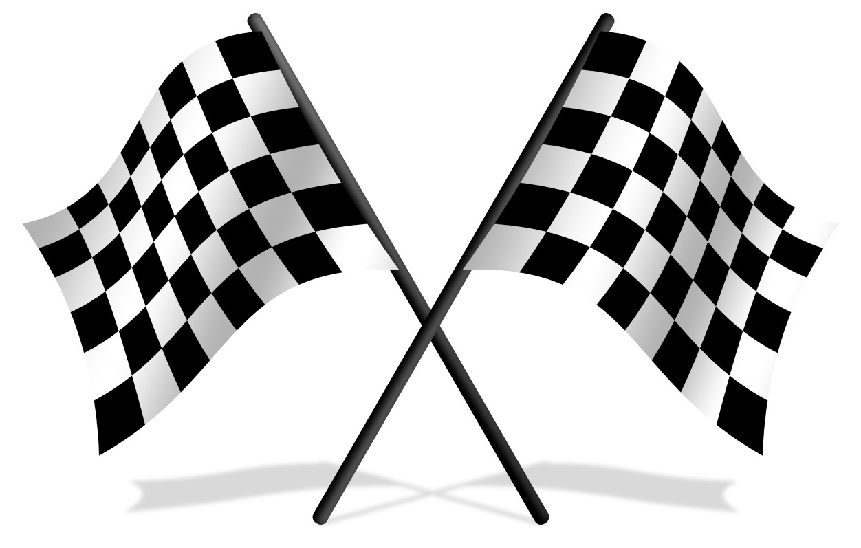 TB3JNB0) Speed Cacher Travel Tag - #3 - Dale Earnhardt's Car (En ...