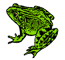 Free Frogs Clipart. Free Clipart Images, Graphics, Animated Gifs ...