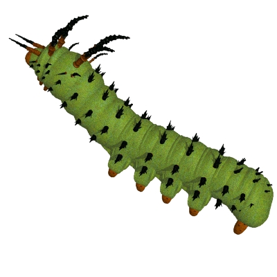 free caterpillar Clipart caterpillar icons caterpillar graphic