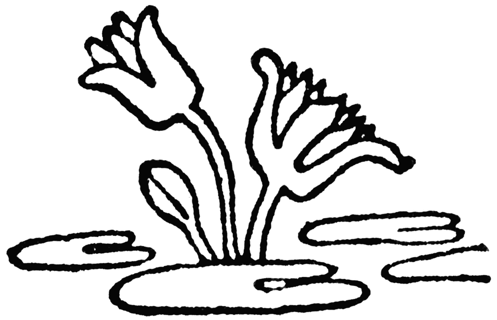 Lotus Design | ClipArt ETC