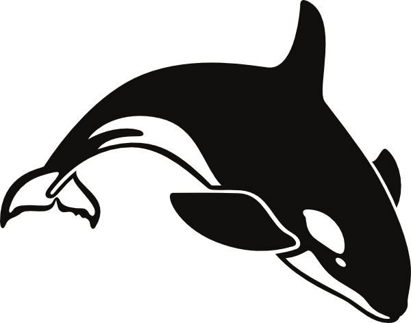 Cartoon Whale Png | Free Download Clip Art | Free Clip Art | on ...