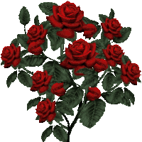 Animated Roses Pictures, Images & Photos | Photobucket