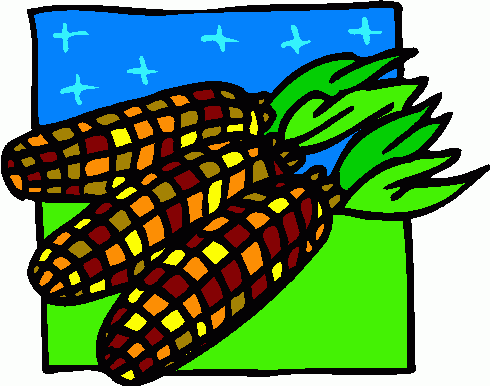 Indian Corn Clipart